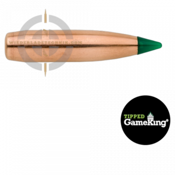 Tipped GameKing 4210 Geschoss